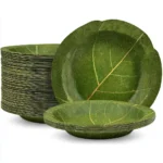 IZ VOZ EXIM Group_of_eco-friendly_siali_leaf_plates_stacked_r_ce1bdf51-43ed-41e4-8221-34df2b099d6a_0Image