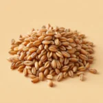 IZ VOZ EXIM Wheat Image